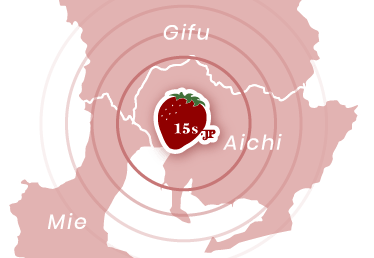 イチゴスタジオ対応エリア