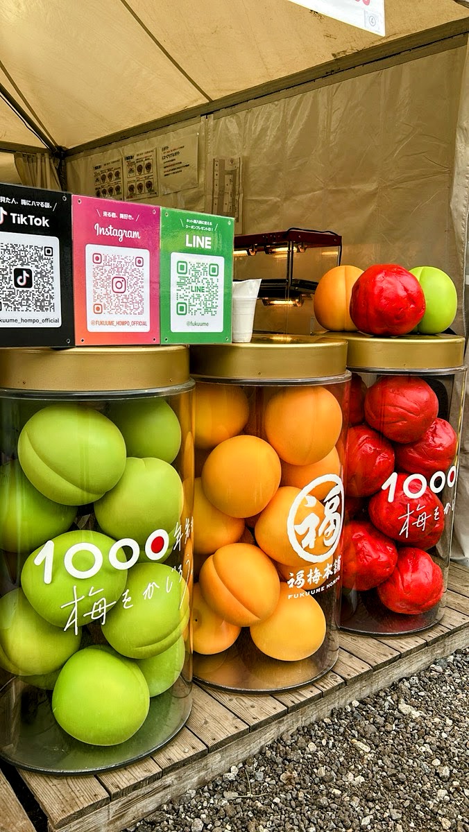 瓶詰め梅干しテーブル 和歌山県